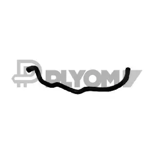 P481123 PLYOM