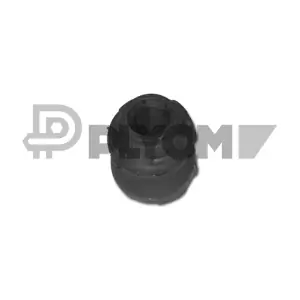 P480539 PLYOM