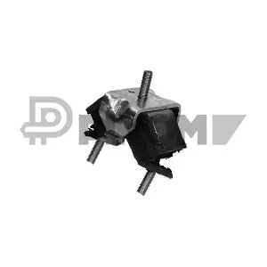P020411 PLYOM