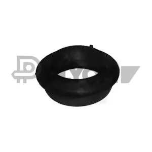PLYOM P020043