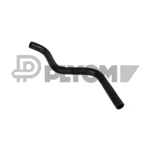 P036731 PLYOM