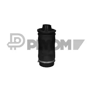 P753068 PLYOM