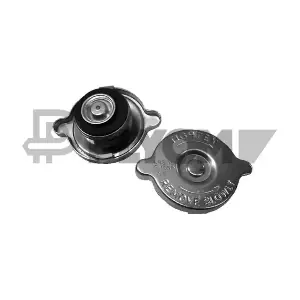 P954087 PLYOM