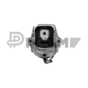P760581 PLYOM