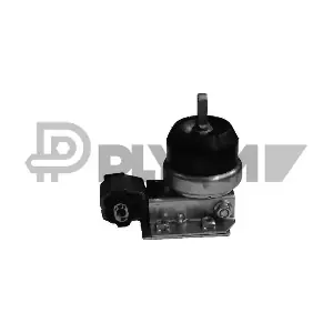 PLYOM P755997