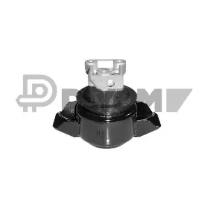 PLYOM P460154