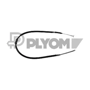 P018966 PLYOM