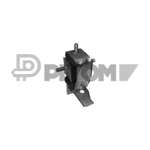 PLYOM P755950