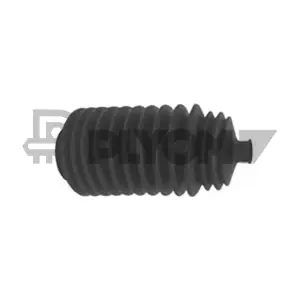 PLYOM P060613