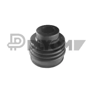 010684 PLYOM