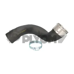 P753078 PLYOM