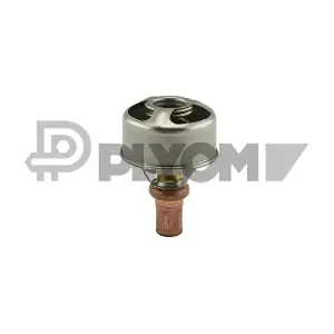 P756904 PLYOM