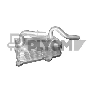 P181095 PLYOM