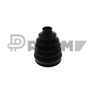 P751387 PLYOM