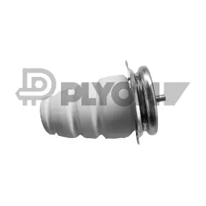 P030438 PLYOM