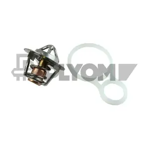 PLYOM P772149