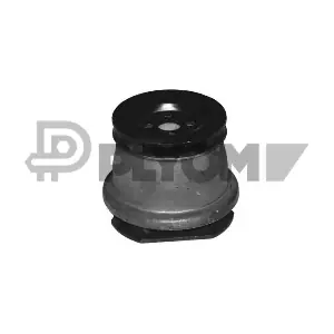 P755400 PLYOM