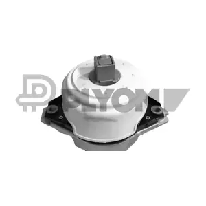 P771553 PLYOM