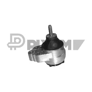 P080225 PLYOM