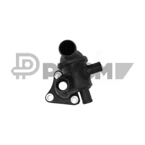P750532 PLYOM