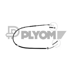 P762818 PLYOM