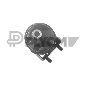 P760474 PLYOM