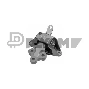 P756303 PLYOM