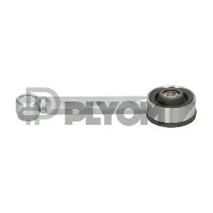 P030284 PLYOM