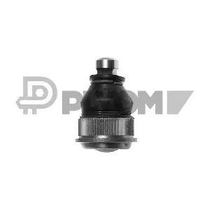 PLYOM P755001