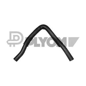 P036366 PLYOM
