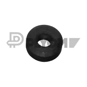 010568 PLYOM