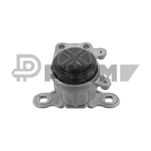 P081130 PLYOM