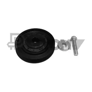 P752341 PLYOM