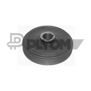 P030942 PLYOM