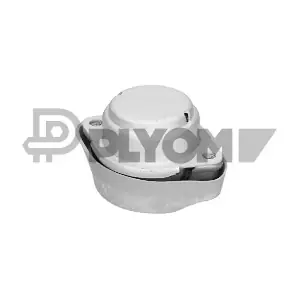 PLYOM P461147