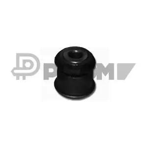 PLYOM P480543