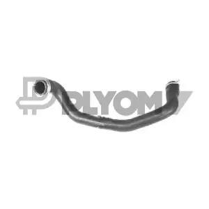 P753536 PLYOM