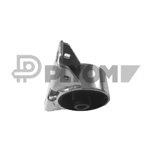 P760466 PLYOM