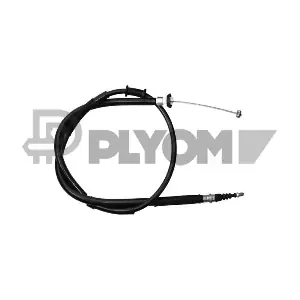 P761018 PLYOM