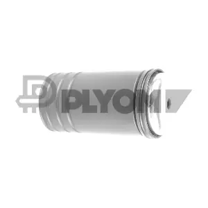P750913 PLYOM