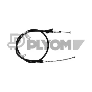 P168326 PLYOM
