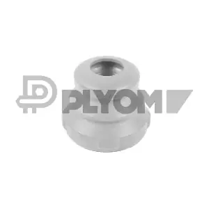 P750210 PLYOM
