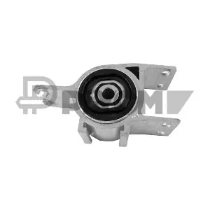 P766619 PLYOM