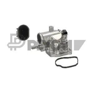 P770425 PLYOM
