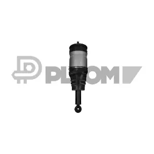 P751950 PLYOM