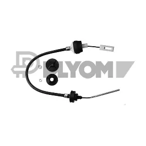 P038408 PLYOM