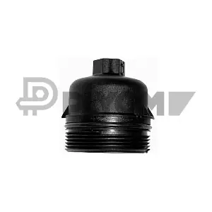 P031521 PLYOM