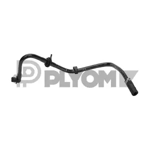 P777219 PLYOM
