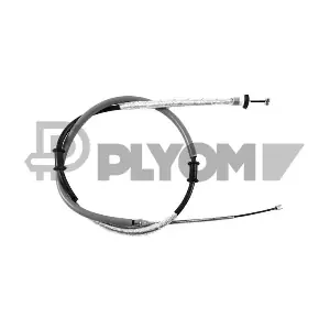 P019037 PLYOM