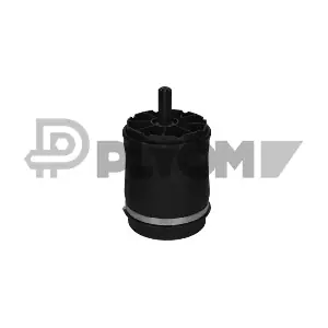 P753021 PLYOM